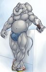  anthro biceps bulge chubby cigar clothed clothing drunklion elephant istani looking_at_viewer male mammal musclegut muscles nipple_piercing nipples piercing skimpy solo speedo standing swimsuit topless 