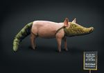  alligator ambiguous_gender artistic australia black_background costume english_text mammal pig plain_background porcine reptile scalie solo text unknown_artist what 