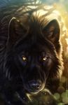  artwork balaa black_fur canine fur looking_at_viewer mammal solo wolf 
