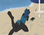  balls beach book butt canine crossdressing fox girly hair long_hair lying male mammal nachtgeist sand sea seaside water 