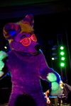  canine dj fur fursuit glases lights ligths looking_at_viewer mammal partty photo solo wolf 
