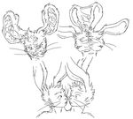 dividing lagomorph mammal multi_head polycephaly rabbit splitting transformation 