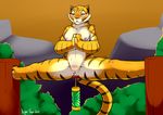  anal anal_insertion anal_penetration anthro anus blush breasts buttplug eyes_closed feline female insertion kung_fu_panda mammal master_tigress meditation nightfaux nude outside penetration presenting presenting_pussy pussy sex_toy solo spread_legs spreading tiger training tree 