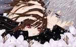  tagme vampire_knight 