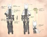  animal_ears character_sheet fox_ears fox_tail ganesagi long_hair multiple_views pixiv_fantasia pixiv_fantasia_fallen_kings tail translation_request white_hair 