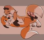  cute feral fox gay leorenard male mammal murcat nude plain_background smile zip-the-fox 