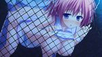  aki_suzuka blue_eyes blush breasts game_cg glace koishiki_manual nipples pink_hair saeki_nao sex shirt_lift 