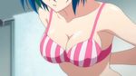  1girl animated animated_gif blue_hair bouncing_breasts bra breasts high_school_dxd large_breasts nipples short_hair solo underwear undressing xenovia_(high_school_dxd) 