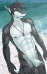  abs absurd_res anthro balls beach biceps big_penis black_hair black_nipples black_penis black_skin blue_eyes body_markings clothed clothing dog_tags dorsal_fin dual ear_piercing erection fangs fin fish genital_piercing grey_hair hair hi_res humanoid_penis looking_at_viewer male marine markings muscles nipple_piercing nipples nude outside pecs penis penis_piercing piercing pose presenting prince_albert riptide riptideshark sand scales seaside shark solo standing stripes strype tattoo teeth topless uncut vein water white_skin 