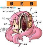  anatomy ass bad_id bad_pixiv_id cross-section diagram headset megurine_luka multi_anus no_humans science takoluka tentacles translated vocaloid 