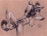  2007 animal_genitalia balls blotch body_hair chest_tuft erection fur gnu happy_trail hooves horn looking_at_viewer lying male nude penis pose signature solo tuft wildebeest 