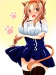  animal_ears braid brown_eyes brown_hair cat_ears cat_tail d-frag! hairband kanata_(kanakana_re0) long_hair panties solo tail takao_(d-frag!) tears thighhighs underwear 