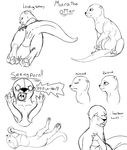  3_toes absurd_res angry anus backlash91 butt claws female hi_res looking_back mammal monochrome mura mustelid nude otter plain_background presenting presenting_hindquarters presenting_pussy pussy sketch toe_claws white_background 
