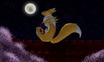  darkravenstear digimon flower fox mammal night renamon roof sitting stars video_games 