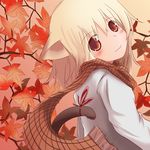  :3 animal_ears asaka_midori autumn blonde_hair cat_ears cat_tail leaf looking_at_viewer looking_back original red_eyes scarf smile solo tail 