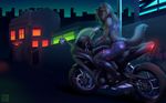  black_hair canine city female grin hair kawasaki looking_at_viewer mammal motorcycle neon_lights night solo wolf wyla wyla_(character) 