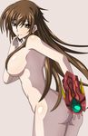  1girl blush brown_hair genderswap high_school_dxd hyoudou_issei long_hair nude sex 