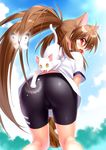  ahoge animal_ears ass baseball baseball_mitt bike_shorts blush brown_hair bug butterfly cat cat_ears day fang from_behind gym_uniform insect lennon little_busters! long_hair looking_back natsume_rin open_mouth outdoors ponytail profile red_eyes spanking very_long_hair yellow_eyes zen 