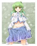  bad_id bad_pixiv_id green_eyes green_hair groin hair_ornament kochiya_sanae mochi.f no_panties socks solo touhou 