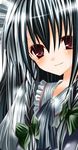  bad_id bad_pixiv_id braid hair_ribbon izayoi_sakuya nanase_nao red_eyes ribbon silver_hair solo touhou twin_braids 