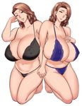  2girls bra breasts brown_hair cleavage huge_breasts milf multiple_girls panties siblings sisters tatsunami_youtoku twins wink 
