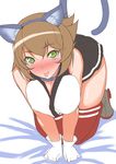  :p all_fours animal_ears blush breasts brown_hair cat_ears cat_tail collar gloves highres kantai_collection large_breasts looking_at_viewer mizuse_kouichi mutsu_(kantai_collection) red_legwear short_hair sketch skirt solo tail thighhighs tongue tongue_out white_gloves 