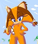  anthro blue_eyes boomerang female flat_chested freeflyspecter mammal nipples nude palm_tree presenting presenting_pussy pussy sega sky sonic_(series) 