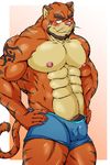  abs anthro beard biceps big_muscles black_fur blush body_markings boxers brown_fur bulge claws clothing facial_hair feline funeral-paws fur grin hands_on_hips looking_at_viewer male mammal markings muscles nipples pecs pink_nose plain_background pose pubes scar simple_background smile solo standing stripes tan_fur tattoo teeth tiger toned topless underwear whiskers white_background 