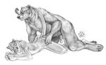  2009 ambiguous_gender anatomically_correct anthro balls bear blotch claws cougar duo feline gay greyscale long_tail male mammal monochrome penis plain_background whiskers white_background 