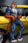  anthro balls biceps big_penis bulge car chest_tuft clamories coveralls feline fur grin jumpsuit looking_at_viewer male mammal mechanic muscles pecs penis pose solo tiger tuft undressing vpl zipper 