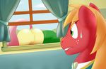  big_macintosh_(mlp) butt duo equine featureless_crotch female feral fluttershy_(mlp) freckles friendship_is_magic fur green_eyes hair horse lol_comments male mammal my_little_pony nice-nsfw orange_hair pony presenting presenting_hindquarters red_fur sky surprise sweat window 