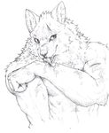  anthro biceps big_muscles blood canine captainjohkid claws fangs fur licking line_art looking_at_viewer male mammal monochrome muscles pecs plain_background pose scar sketch solo standing teeth toned tongue tongue_out topless were werewolf wolf wounded 