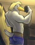 abs anthro back beak bgn biceps blonde_hair box boxers butt feathers grin hair male muscles phone pose selfie sieg_coen smile solo standing stork tail_clothing topless underwear white_body 