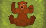  anus balls bear brother_bear brown_eyes brown_fur brown_penis butt claws cobalthusky cum digitigrade disney fur grizzly_bear humanoid_penis kenai lying male mammal on_back open_mouth penis precum sheath solo uncut 