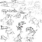  canine dog equine feral gay gdane horse human interspecies knot male mammal penis penis_milking sketch 