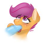  animal_genitalia blush disembodied_penis equine female feral friendship_is_magic fur gigapon hair horse horsecock male mammal my_little_pony oral oral_sex orange_fur penis plain_background pony purple_eyes purple_hair scootaloo_(mlp) sex straight tongue white_background 