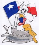  bomb canine female fox mammal niis nose_art texas 