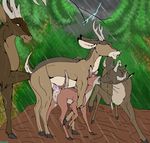  anal anal_fisting anal_penetration antlers anus backlash91 bambi cervine crying cum cum_in_ass cum_inside deer disney erection female feral feral_on_feral fisting gay hooving horn kissing male mammal penetration penis pussy sex 