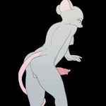  animated cum cumshot dickgirl endless_cum intersex mammal orgasm penis rat rodent solo squigglevision tabuley 