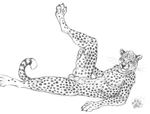 anthro balls black_nose blotch cheetah claws feline flaccid hand_on_leg hindpaw looking_at_viewer looking_away looking_right lying male mammal monochrome nude on_side pawpads paws penis plain_background pose presenting reclining sheath sketch solo spots spread_legs spreading toe_claws tongue tongue_out whiskers white_background 