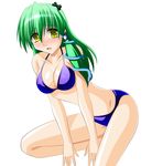  bikini engo_(aquawatery) green_hair kochiya_sanae long_hair solo swimsuit touhou yellow_eyes 