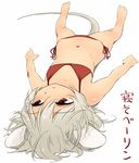  animal_ears barefoot bikini flat_chest full_body lying mouse_ears mouse_tail navel nazrin on_back red_bikini red_eyes side-tie_bikini silver_hair simple_background solo swimsuit tail touhou translation_request upside-down white_background yudepii 