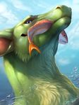  blue_eyes dragon fish fur furred_dragon green_dragon green_fur male marine rhyu unknown_species water 