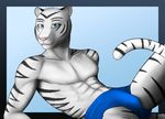  abs anthro aolun aolun_(artist) biceps black_fur blue_eyes body_markings bulge feline fur looking_at_viewer male mammal markings muscles pecs pink_nose plain_background pose solo tiger underwear white_tiger 