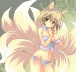  animal_ears blonde_hair breasts bustier choker cleavage fox_ears fox_tail green_eyes large_breasts looking_at_viewer midriff multiple_tails navel panties ribbon_choker side-tie_panties solo tail touhou underwear underwear_only white_panties yakumo_ran yutamitan 