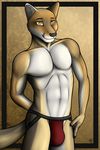  abs amber_eyes anthro aolun aolun_(artist) biceps black_nose brown_fur bulge canie canine cape_fox claws fox fur grin jockstrap looking_at_viewer male mammal muscles pecs pose smile solo standing tan_fur toned topless underwear white_fur yellow_eyes 