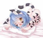  animal_ears bad_id bad_pixiv_id blue_hair blush borrowed_character fuurin_rei highres nude open_mouth original simple_background solo tail top-down_bottom-up ueno_musashi white_background yellow_eyes 