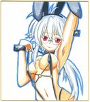  animal_ears arm_up armpits bad_id bad_pixiv_id breasts bunny_ears fuurin_rei highres large_breasts long_hair looking_at_viewer navel original red_eyes shikishi simple_background solo tomoyan_(nyakkoya) traditional_media white_background white_hair 