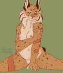  breasts feline female green_eyes lynx mammal neck_ruff sitting solo stormy_franks tavia 