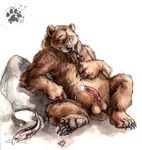  anatomically_correct anthro balls bear blotch condom cum cum_on_self erection fish grizzly_bear leaning male mammal marine penis pipe plain_background sitting solo white_background 